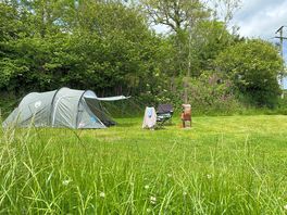 Clover Tent pitch
