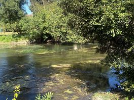 Scenery around the camp