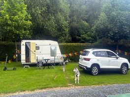 Mis huskies siberianas shiva y kuka acompañándonos en nuestro viaje de novios desde españa