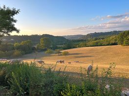 View from the terraced pitches