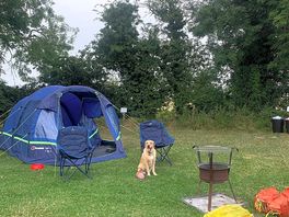 Our pitch