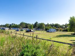 Grass pitches