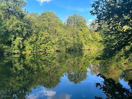 Lake view