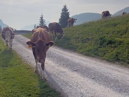 Friendly locals