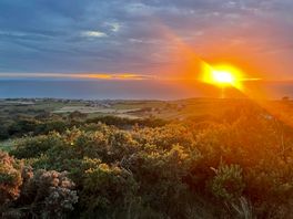 The sunset