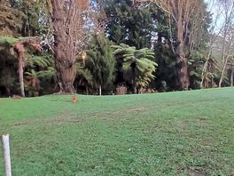 Lovely established grounds