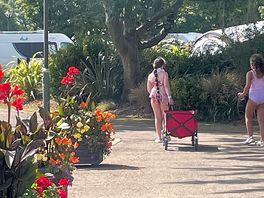 A walk in the sunshine