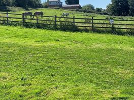 Parked overlooking horse field.