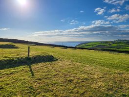 Hemmick field