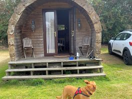 Ideal accommodation if not using tent/caravan. bed, a couch, a tv, and tea/coffee facilities.