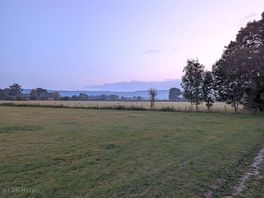 View across one of the fields