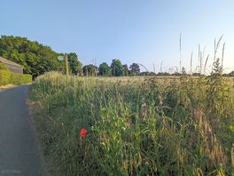 Lots of nearby walks
