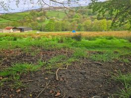 Our view on the site