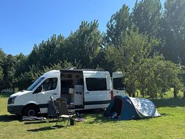A lovely pitch amongst the apple trees
