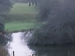 The lake