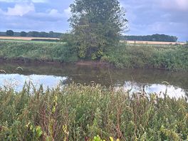 The rivwr