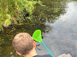 Little pond