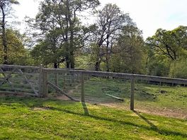 View over the pony paddock