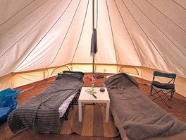 Cosy