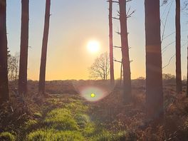 Sun setting