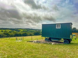 Shepherd's hut