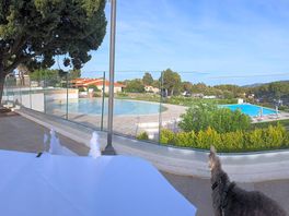 Der pool, auch ein becken für kleine gäste