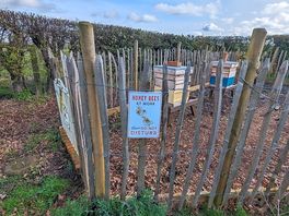 Beehives