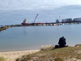 Site view