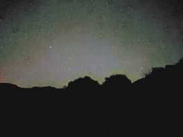 🌟