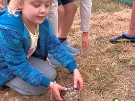 Maya feeding the tortoises