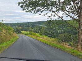 Drive through the forest.