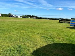 View of one of the fields.