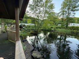 Duck pond