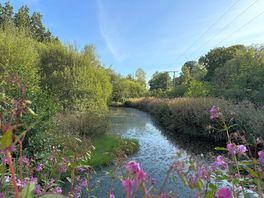 Pond