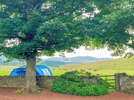 Perfect morning view