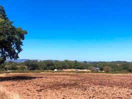 View of site