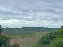 A walk from the campsite
