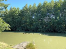 Lake view