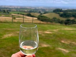 Wine tasting