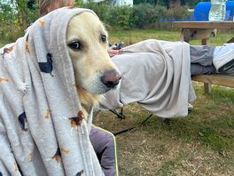 Cosy vibes