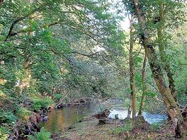 Beautiful surroundings of natural beauty