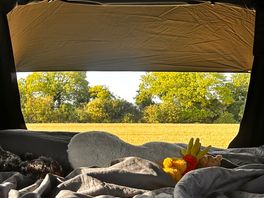 Morning views
