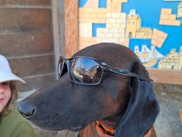 Too cool!