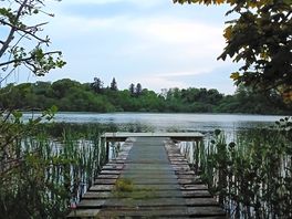Jetty
