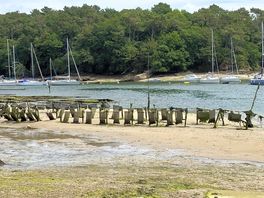 Nearby the belon estuary and oyster beds