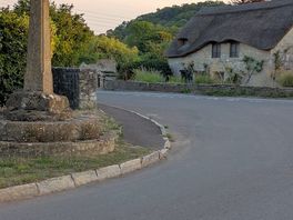 Nearby walk