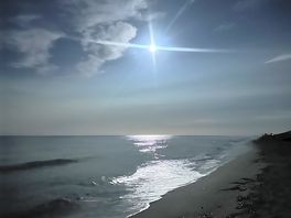 Moonlight
