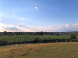 View from local walk