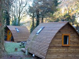The pods