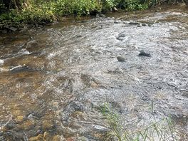 Rivière